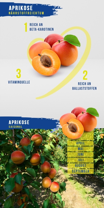 Aprikose