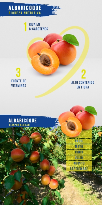 Ficha de albaricoque