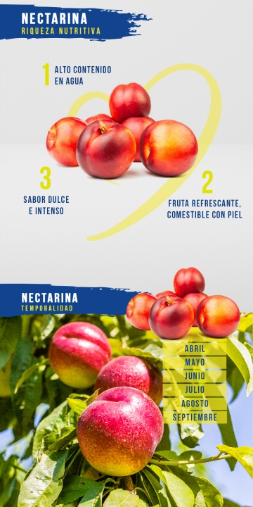 Nectarina
