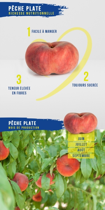 Pêche Plate