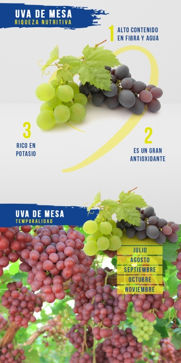 Uva de Mesa