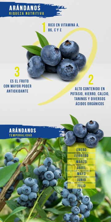 Arándanos