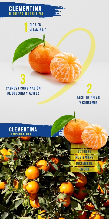 Clementina