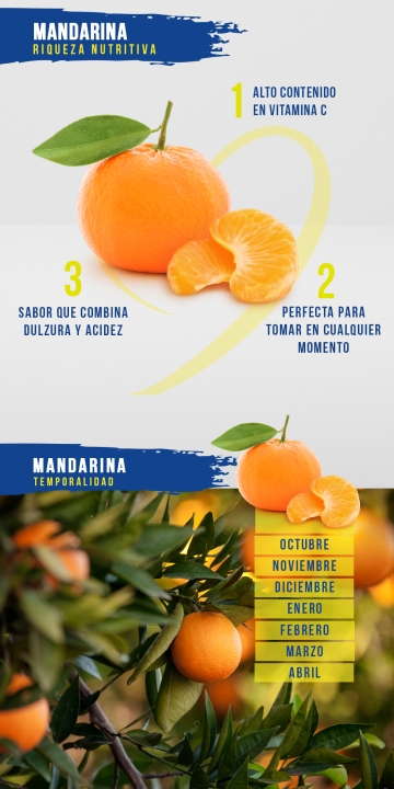 Mandarina