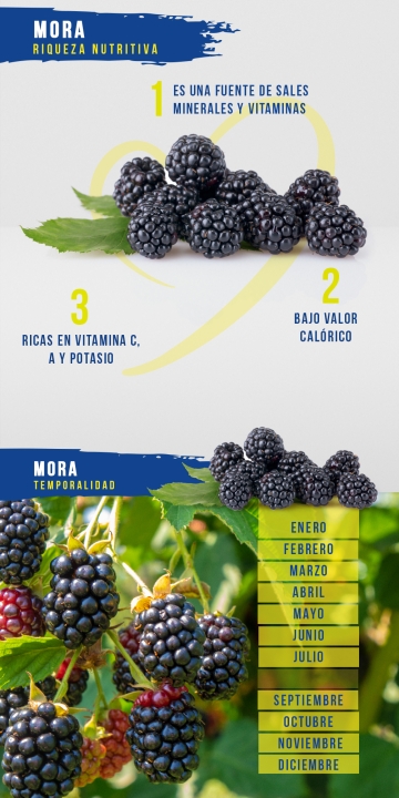 Mora