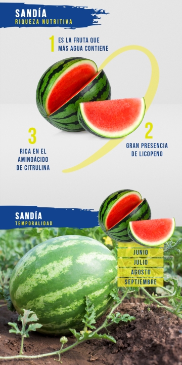 Sandía
