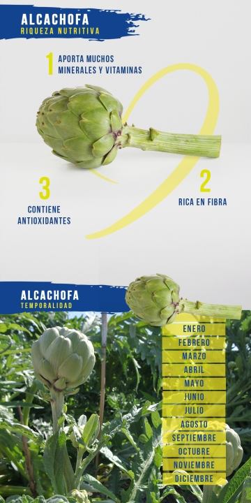Alcachofa
