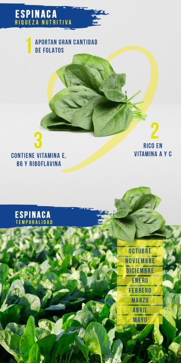 Espinaca